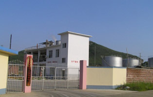 四川欧新石化有限公司管道检测